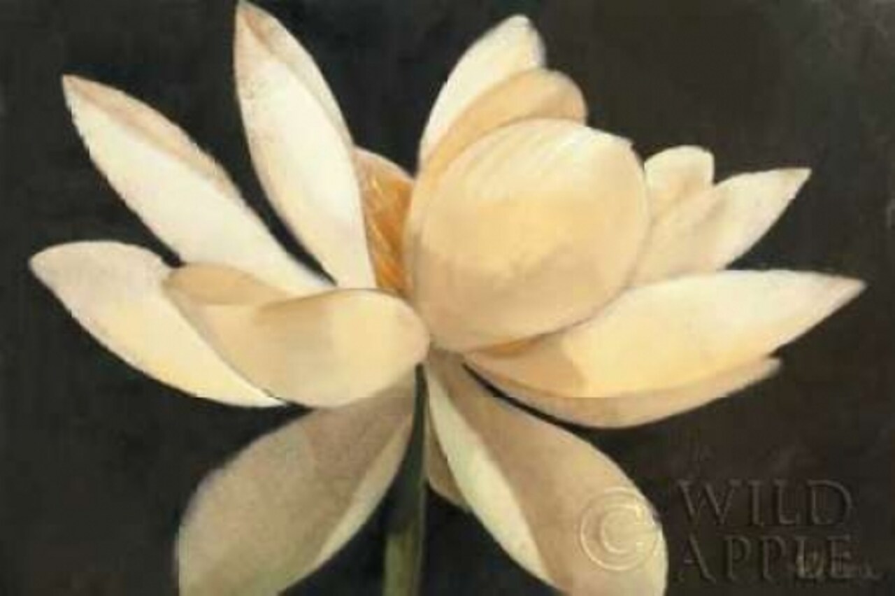 Unfolding Poster Print by Albena Hristova - Item # VARPDX7797